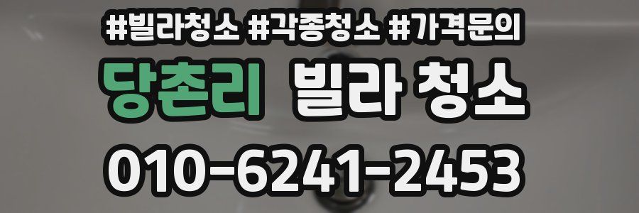 당촌리 빌라 청소