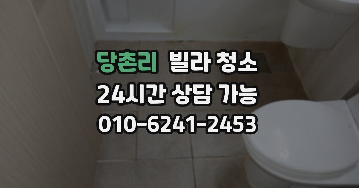 당촌리 빌라 청소