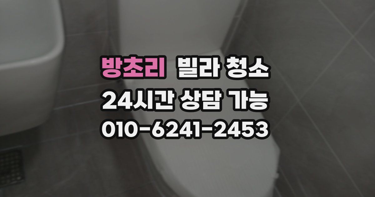 방초리 빌라 청소