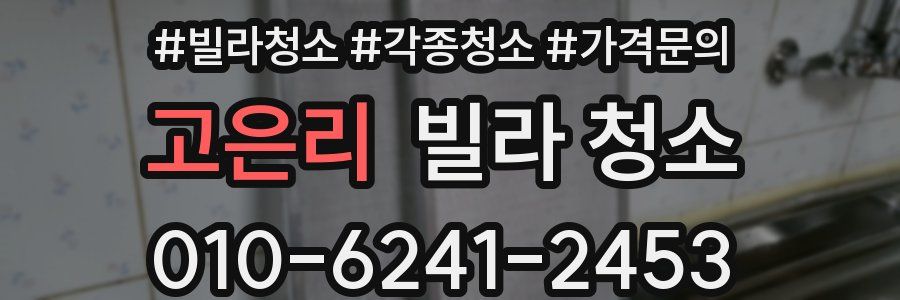 고은리 빌라 청소