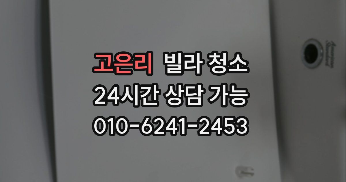 고은리 빌라 청소