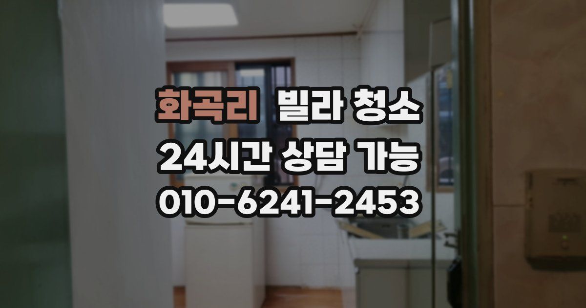 화곡리 빌라 청소