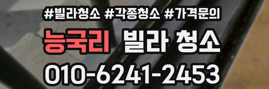 능국리 빌라 청소