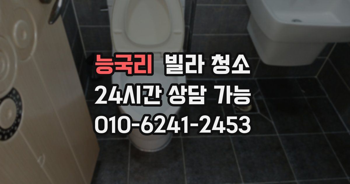 능국리 빌라 청소