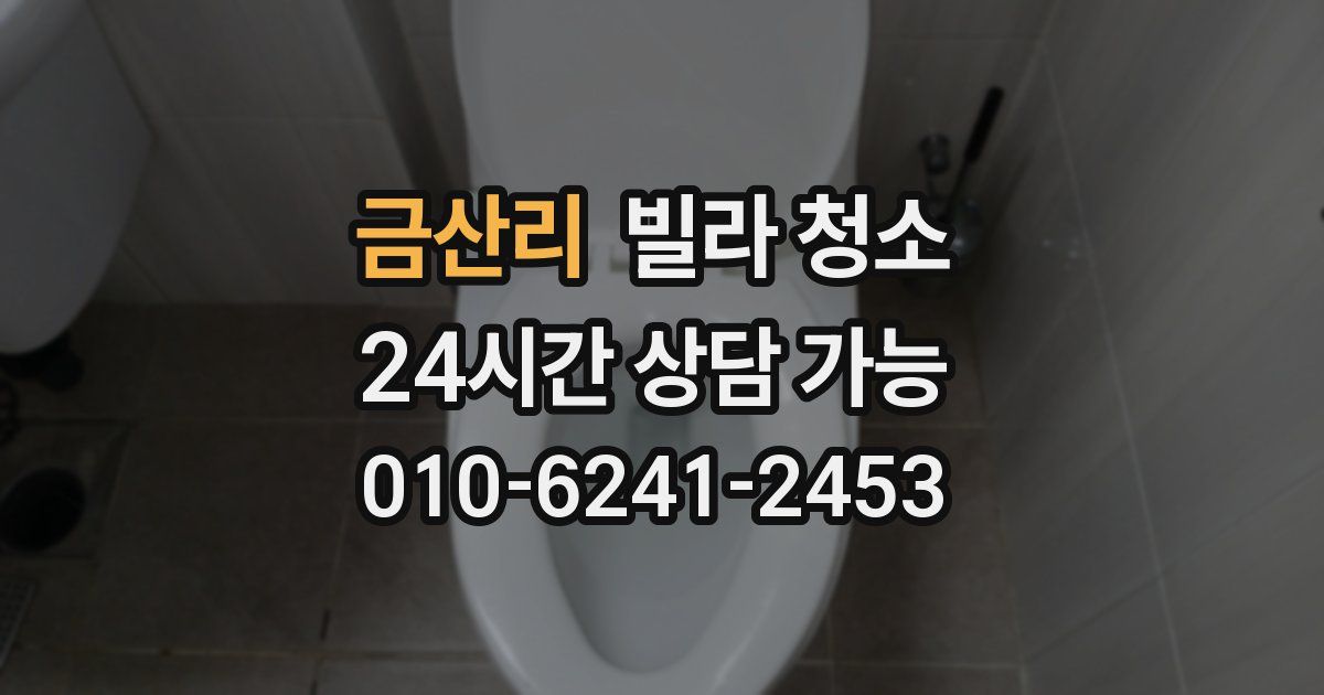 금산리 빌라 청소