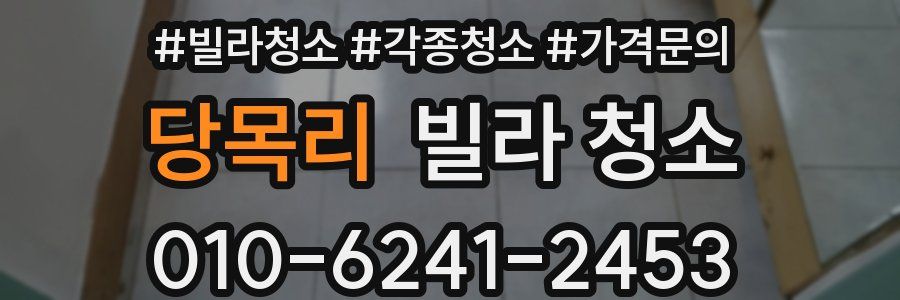 당목리 빌라 청소