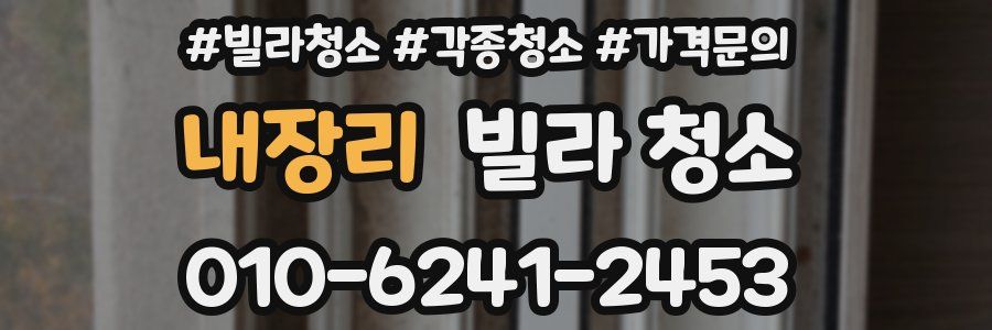 내장리 빌라 청소
