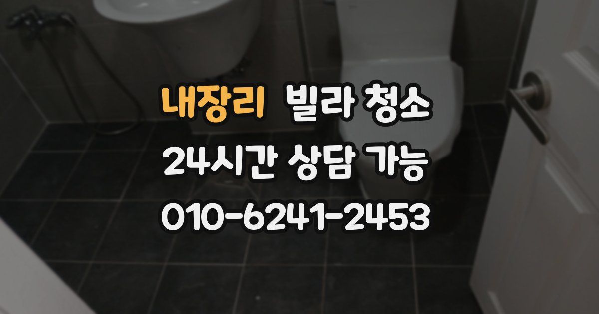 내장리 빌라 청소