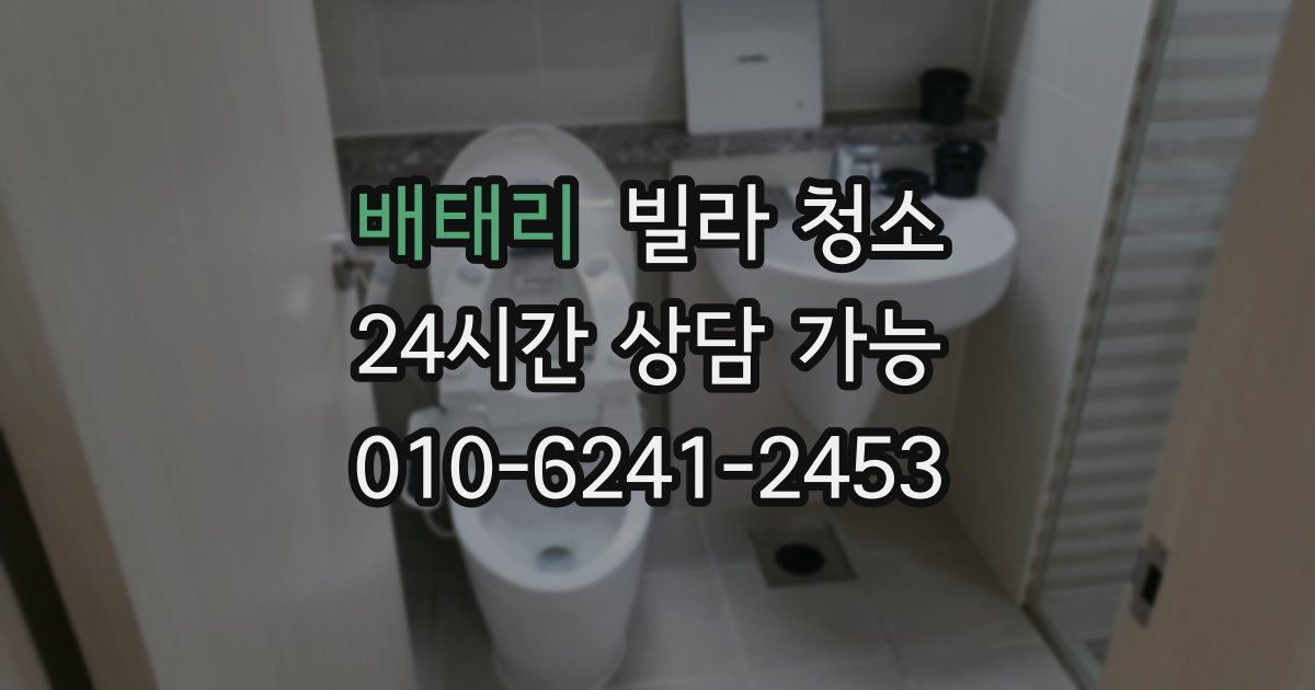 배태리 빌라 청소