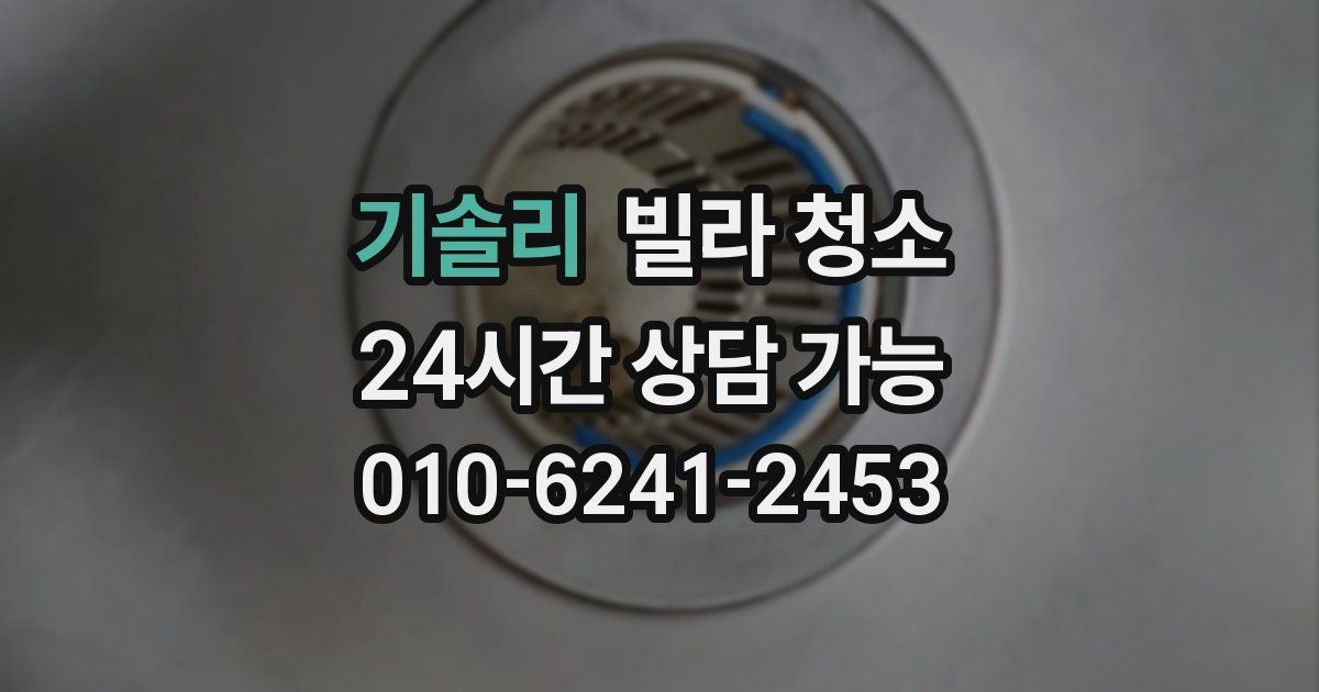 기솔리 빌라 청소