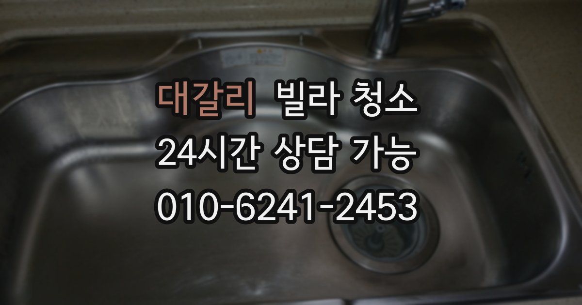 대갈리 빌라 청소