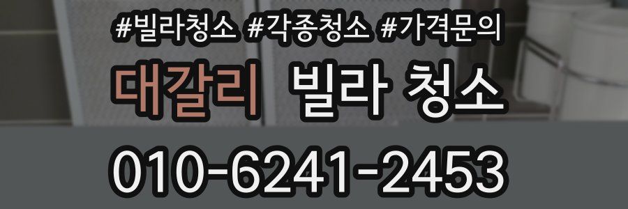 대갈리 빌라 청소