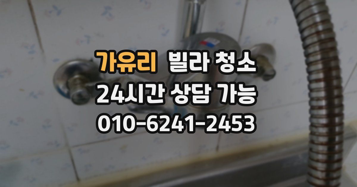 가유리 빌라 청소