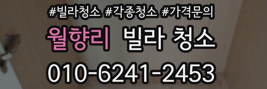 월향리 빌라 청소