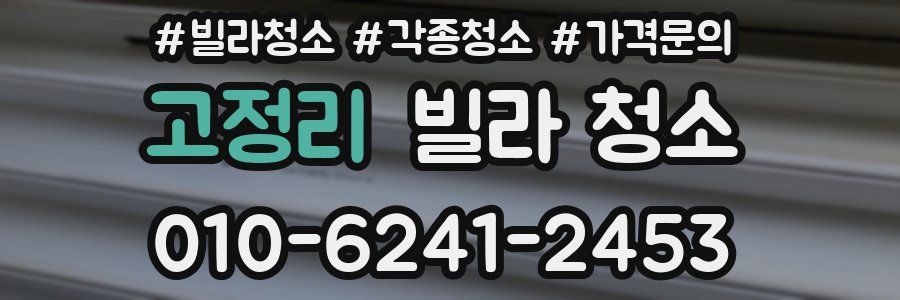 고정리 빌라 청소