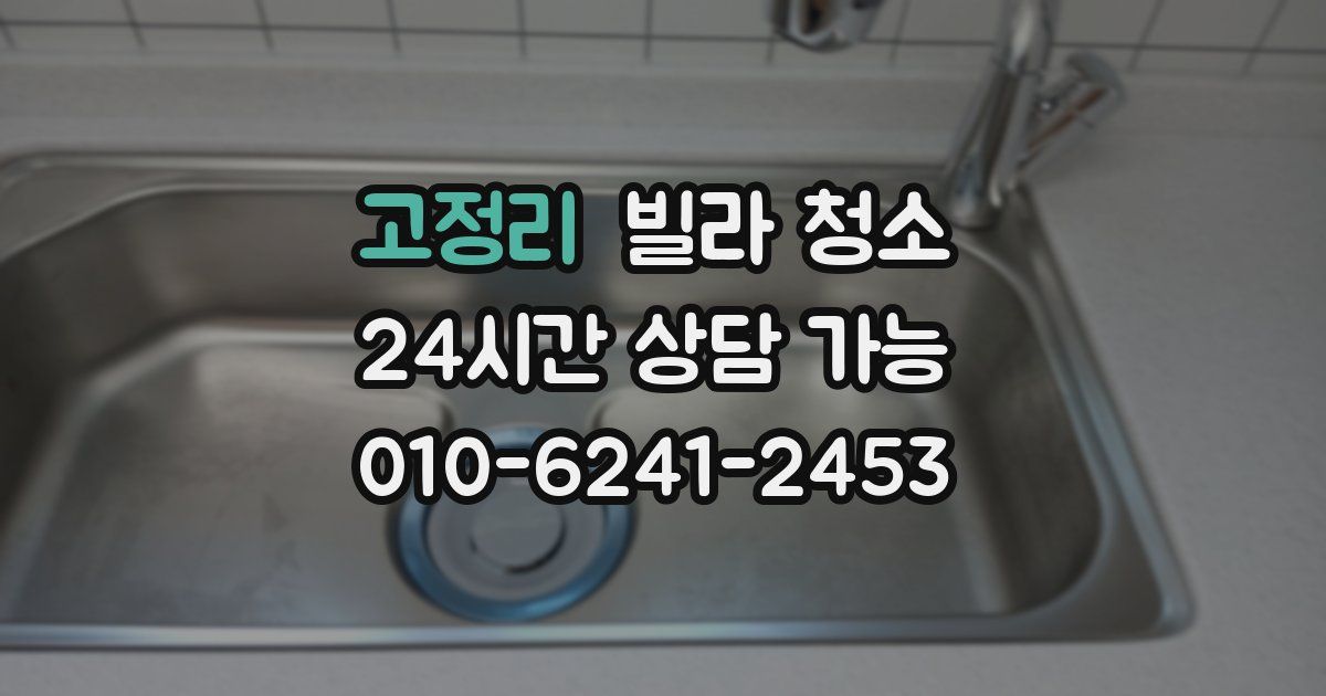 고정리 빌라 청소