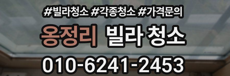 옹정리 빌라 청소