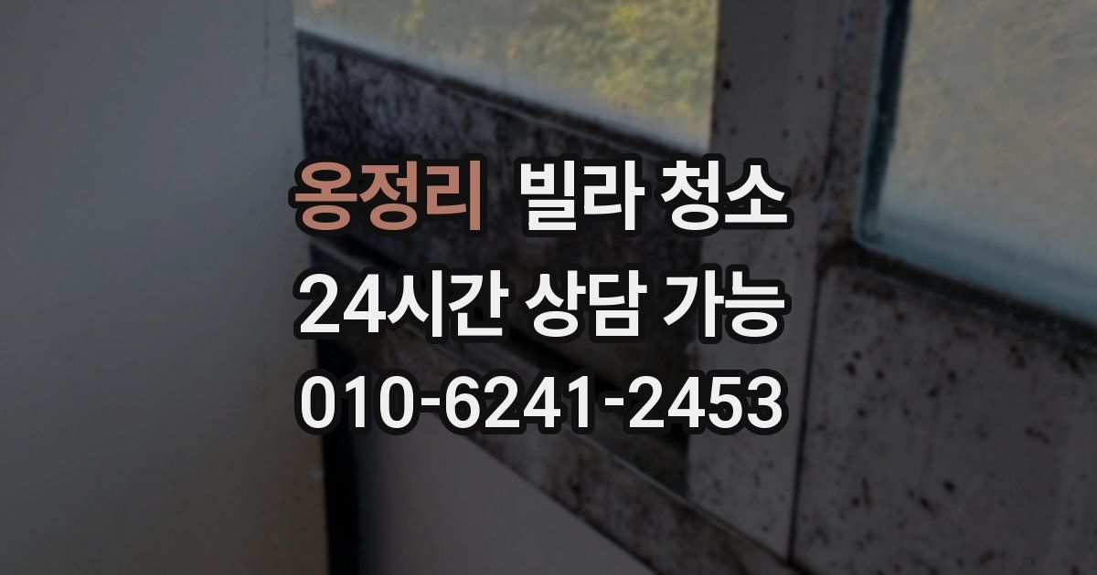 옹정리 빌라 청소