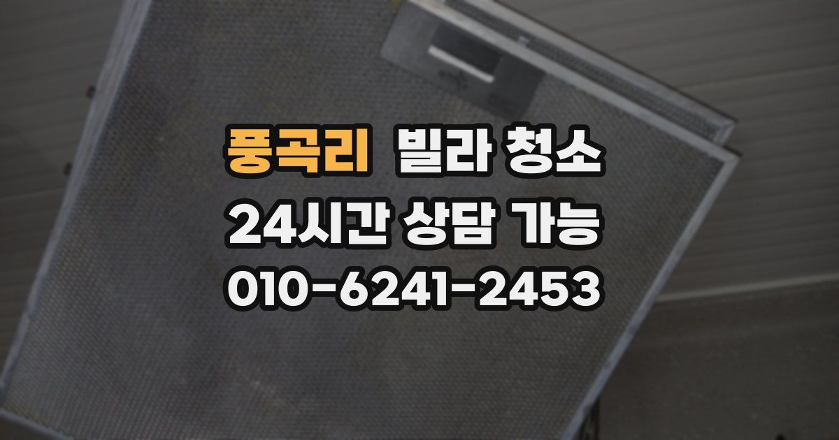 풍곡리 빌라 청소