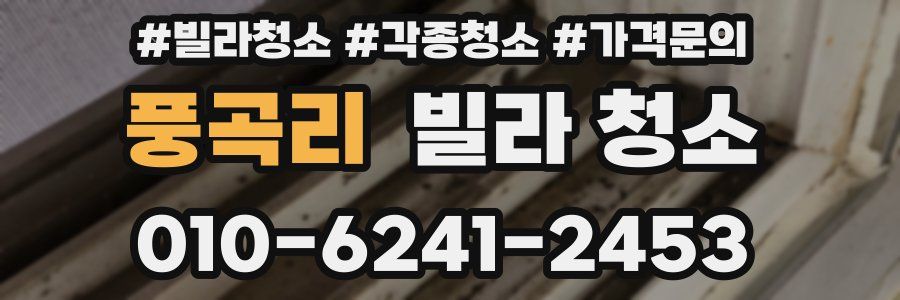풍곡리 빌라 청소