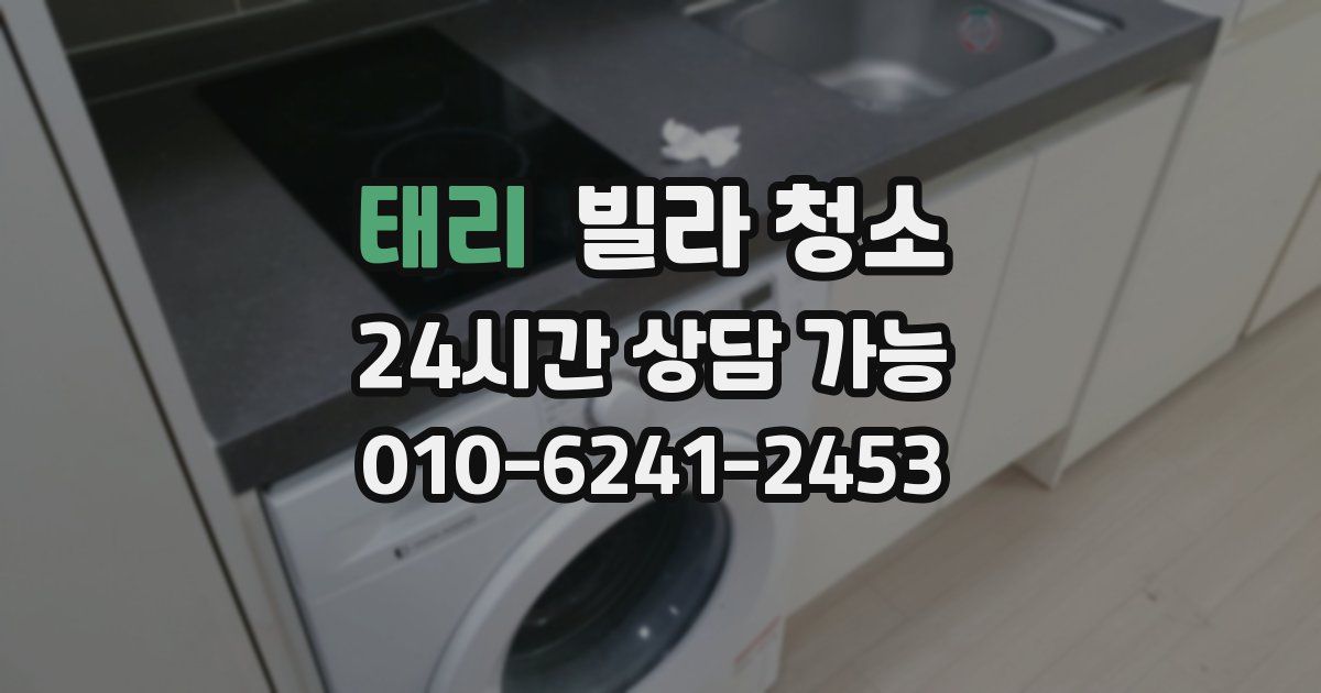 태리 빌라 청소