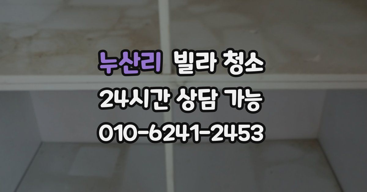 누산리 빌라 청소