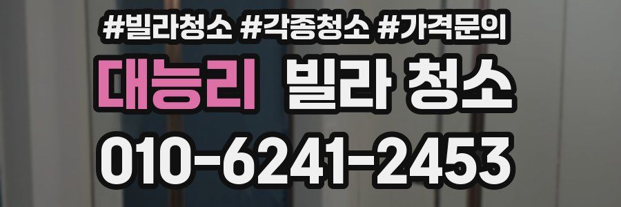 대능리 빌라 청소