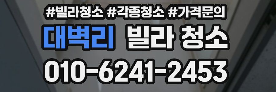 대벽리 빌라 청소