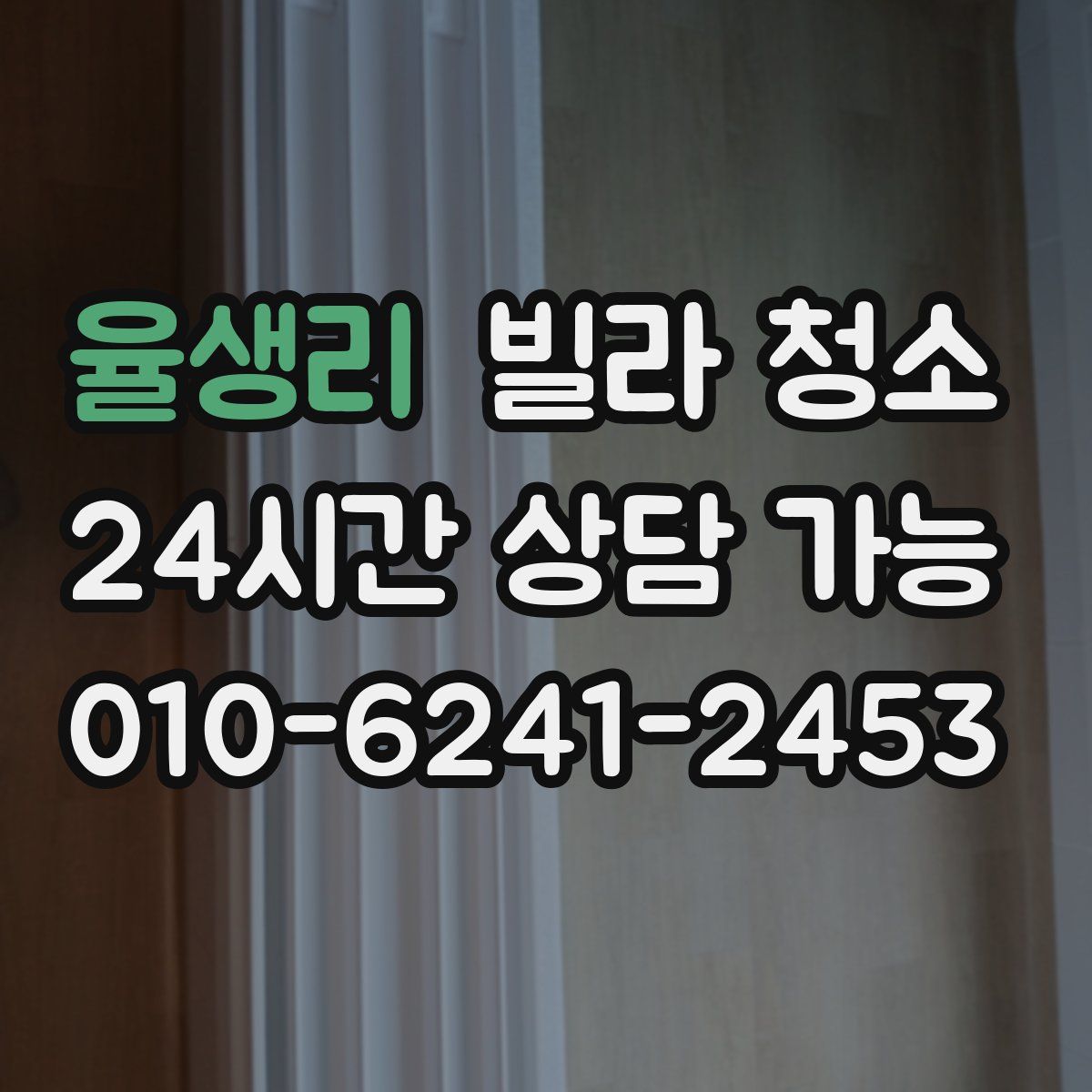 율생리 빌라 청소