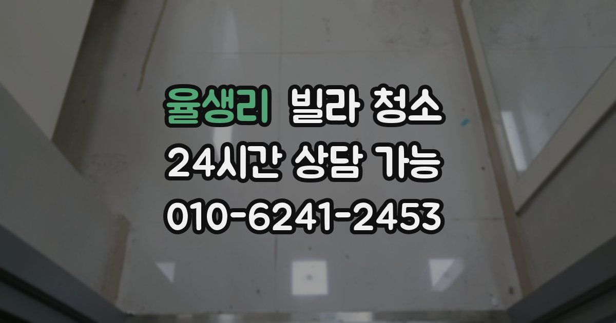 율생리 빌라 청소