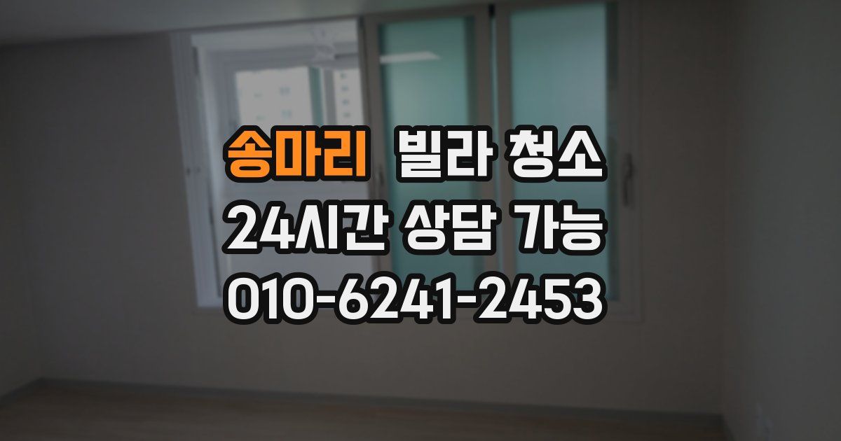 송마리 빌라 청소