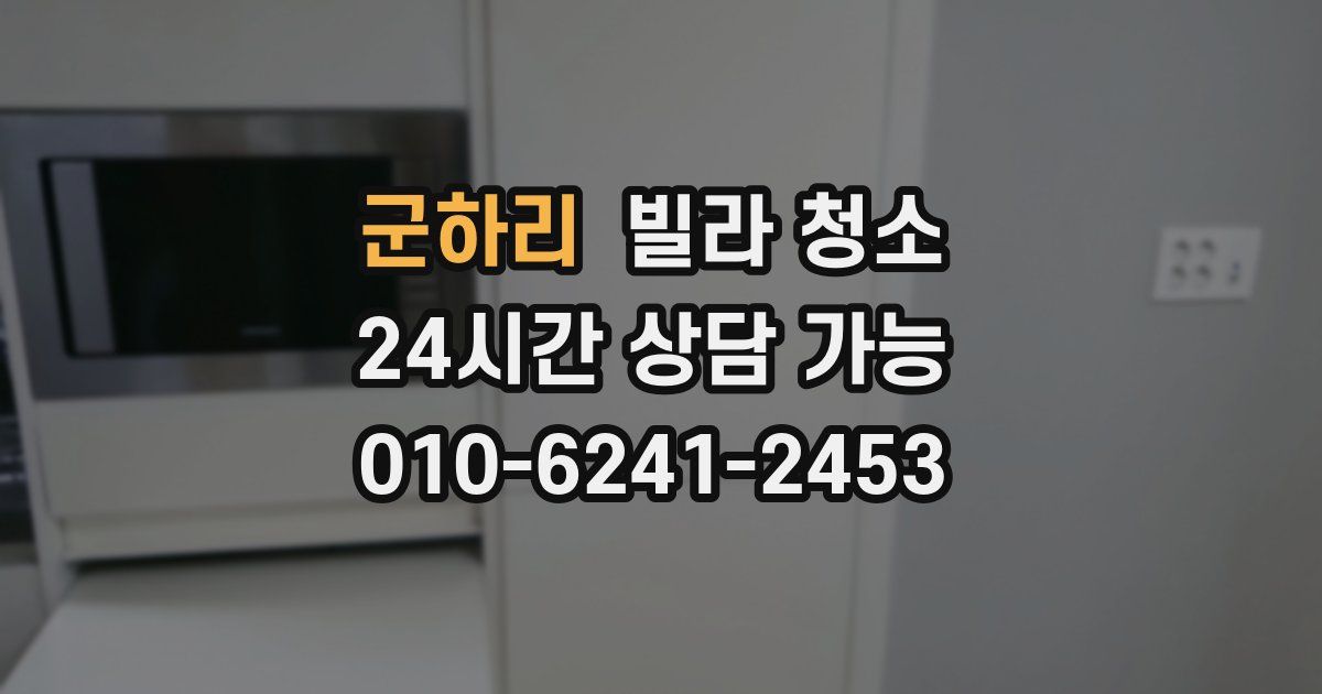 군하리 빌라 청소