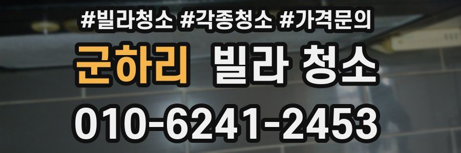 군하리 빌라 청소