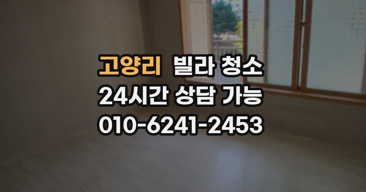 고양리 빌라 청소