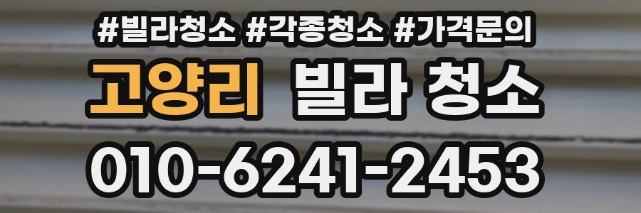 고양리 빌라 청소