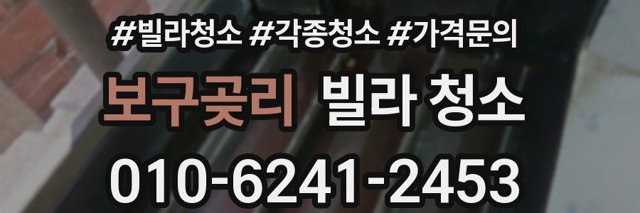 보구곶리 빌라 청소