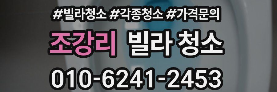 조강리 빌라 청소