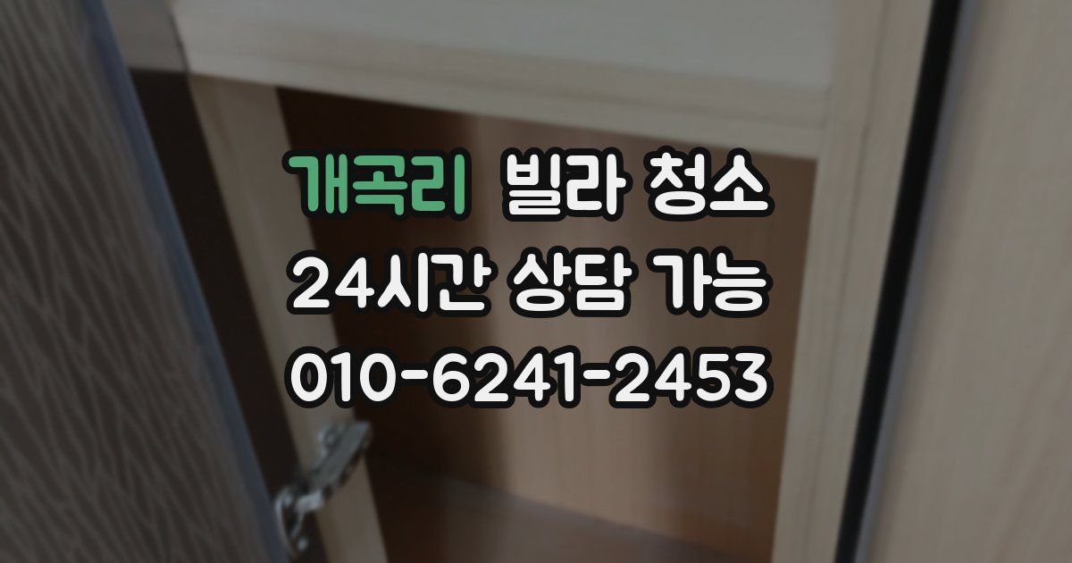 개곡리 빌라 청소