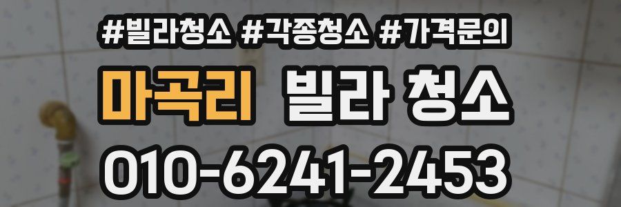 마곡리 빌라 청소