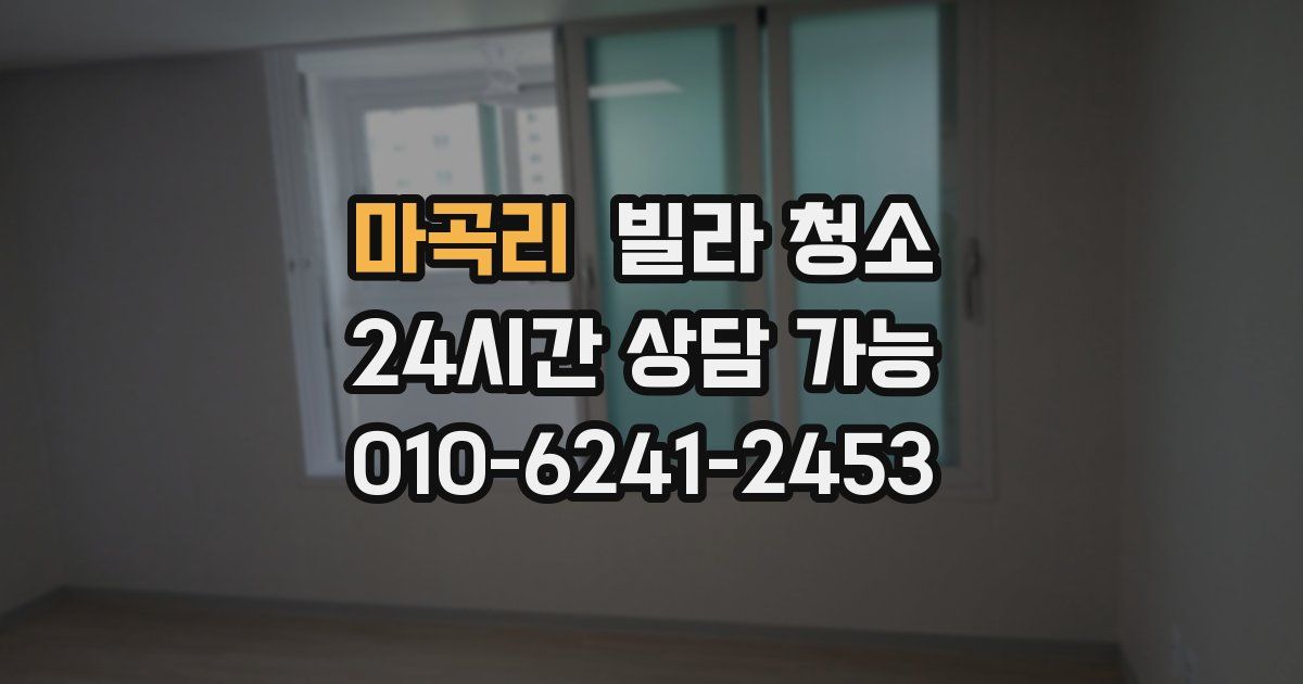 마곡리 빌라 청소