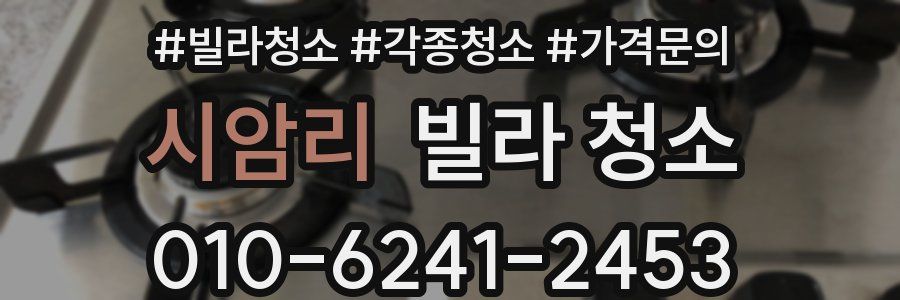 시암리 빌라 청소