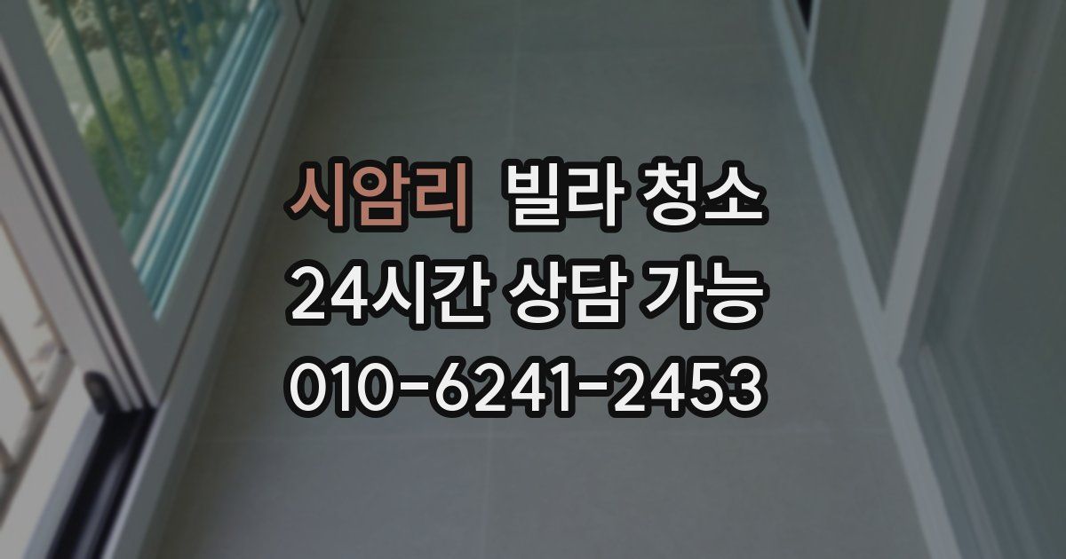 시암리 빌라 청소