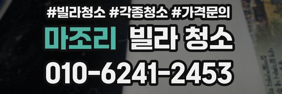 마조리 빌라 청소