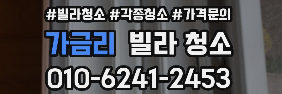 가금리 빌라 청소