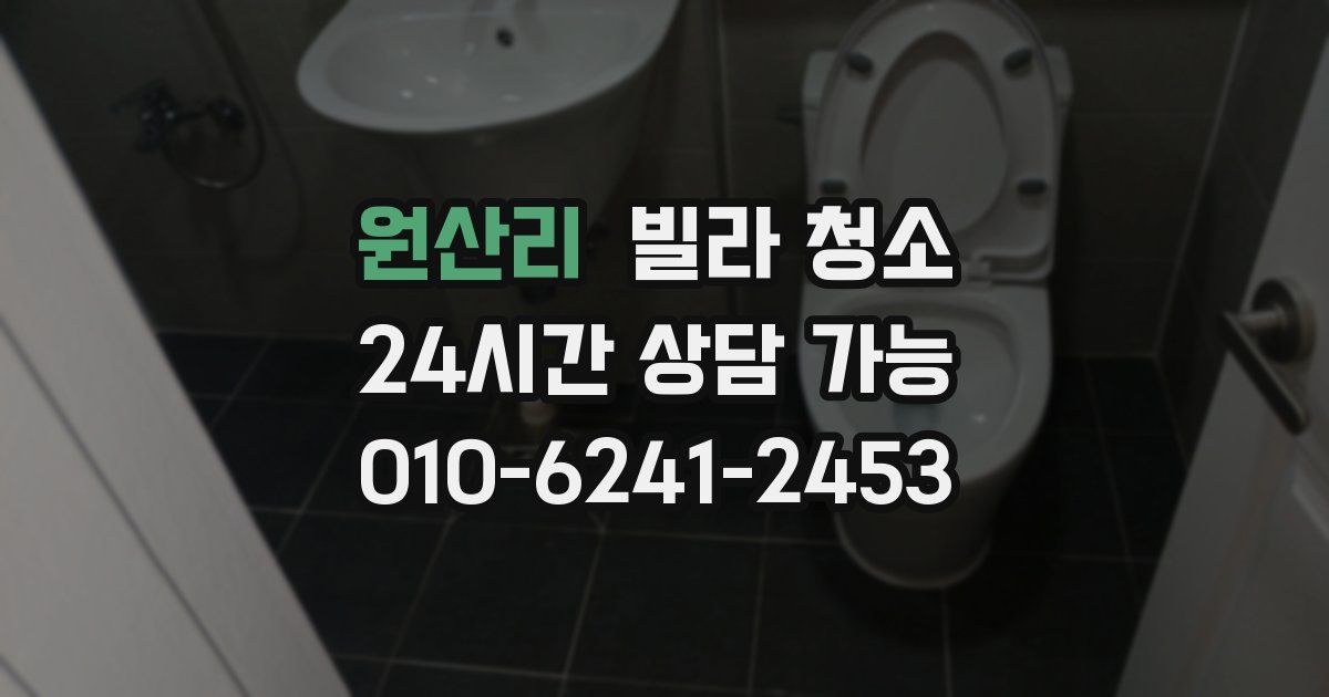 원산리 빌라 청소