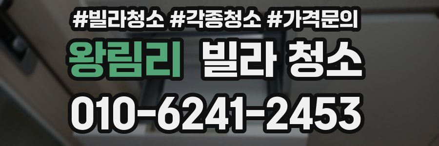 왕림리 빌라 청소