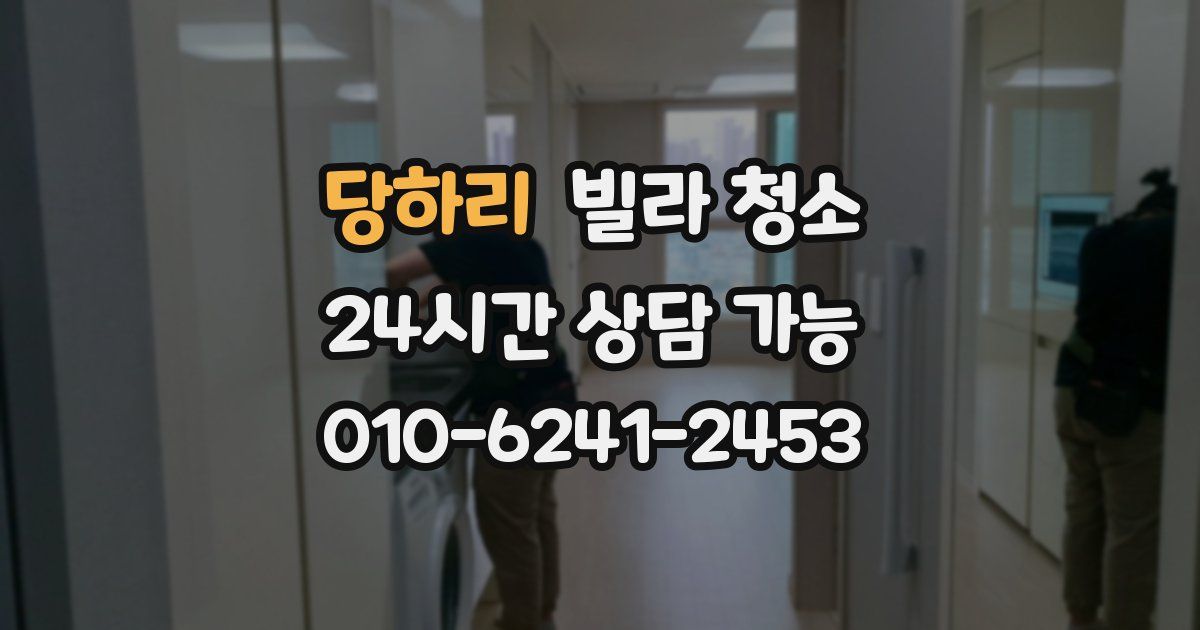 당하리 빌라 청소