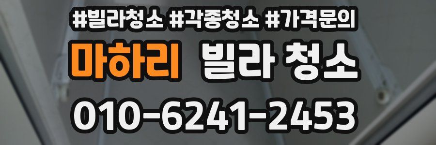 마하리 빌라 청소