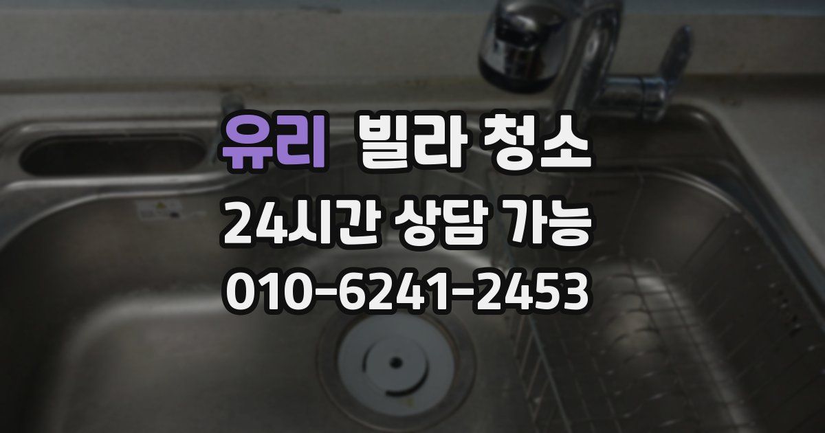 유리 빌라 청소