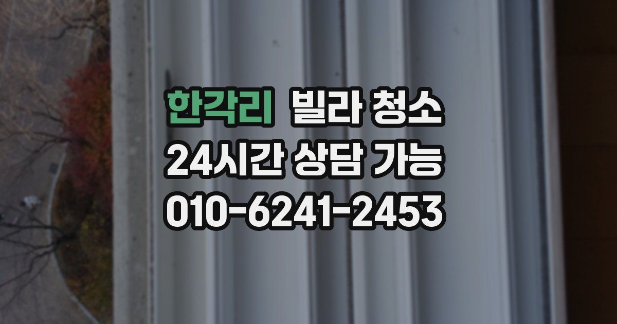한각리 빌라 청소